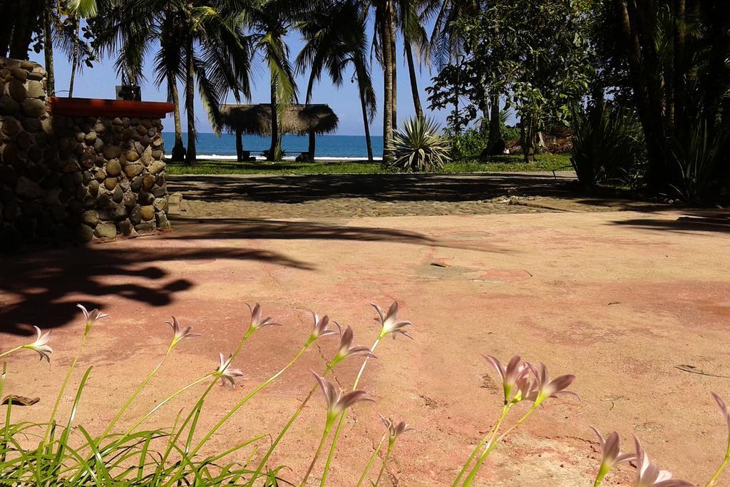 Perla Negra Beach Front Hotel Puerto Viejo de Talamanca Exterior photo