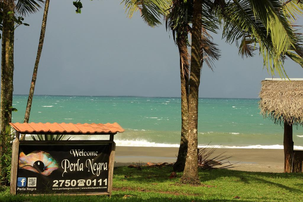 Perla Negra Beach Front Hotel Puerto Viejo de Talamanca Exterior photo